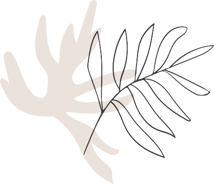 Anahiz Aesthetics MedSpa